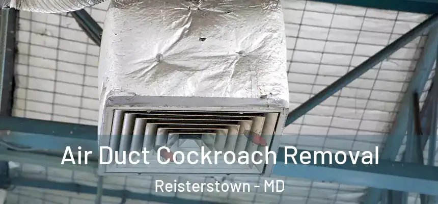 Air Duct Cockroach Removal Reisterstown - MD