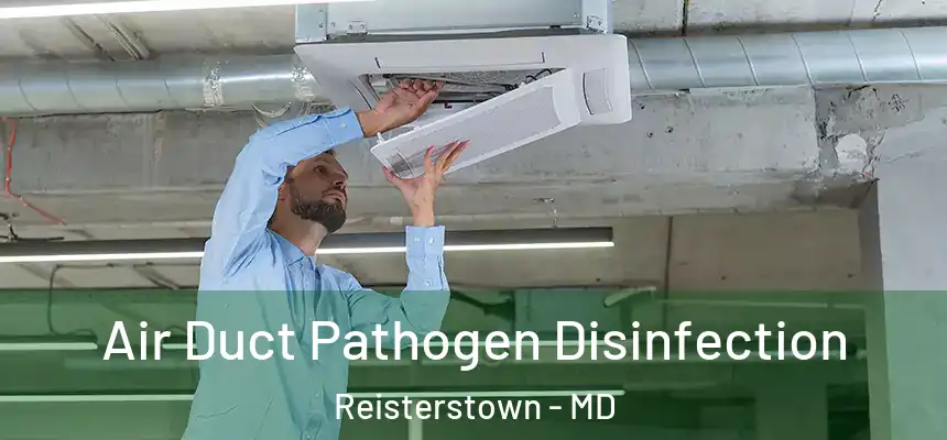  Air Duct Pathogen Disinfection Reisterstown - MD