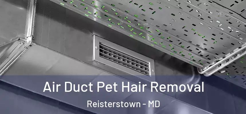  Air Duct Pet Hair Removal Reisterstown - MD