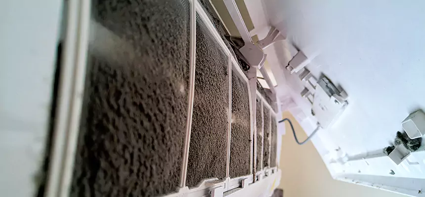 Preventive Air Duct Bacteria Removal in Reisterstown