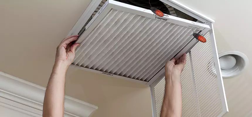 Preventive Cockroach-Proofing for Ducts in Reisterstown