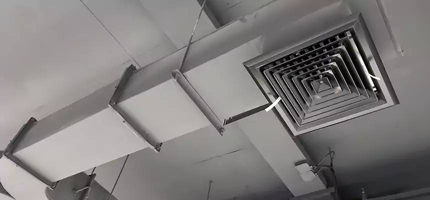 Restorative Allergy Relief Vent Cleaning – Coil, Blower & Housing Detail in Reisterstown