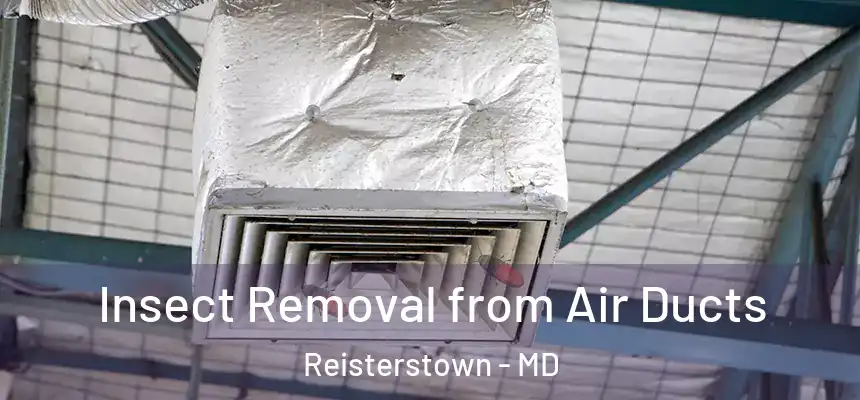 Insect Removal from Air Ducts Reisterstown - MD