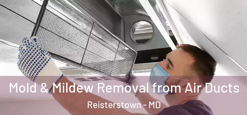 Mold & Mildew Removal from Air Ducts Reisterstown - MD