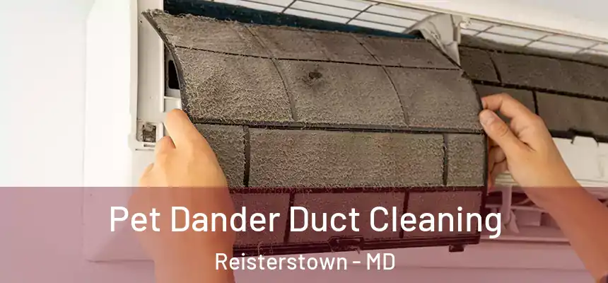 Pet Dander Duct Cleaning Reisterstown - MD