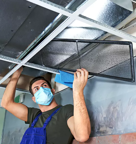 About Air Duct Bacteria Removal in Reisterstown