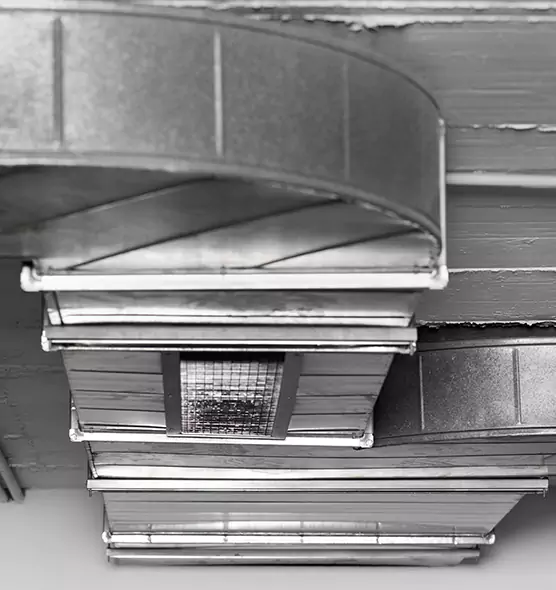 Professional Air Duct Pest Removal in Reisterstown, MD