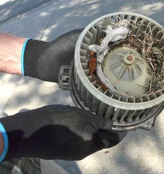 About Air Duct Rat Removal in Reisterstown, MD