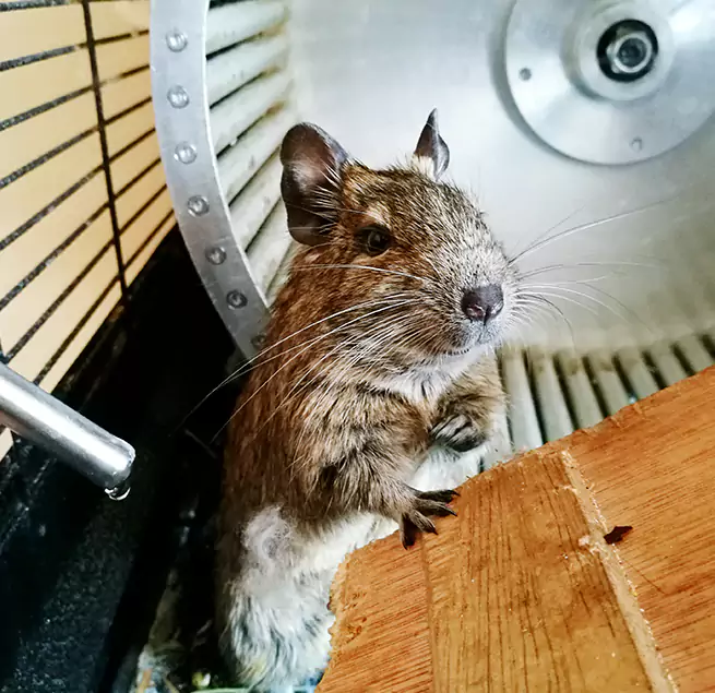 Why Homeowners & Businesses Trust Us Reisterstown, MD