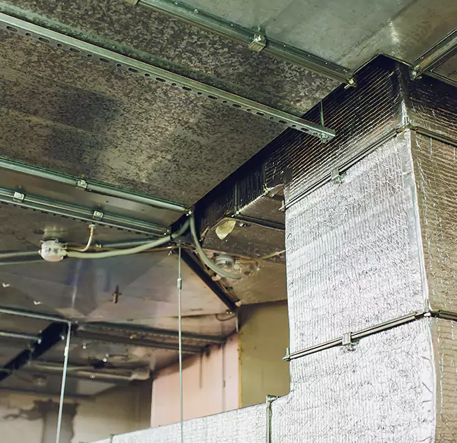 Why Homeowners & Businesses Trust Us in Reisterstown, MD?